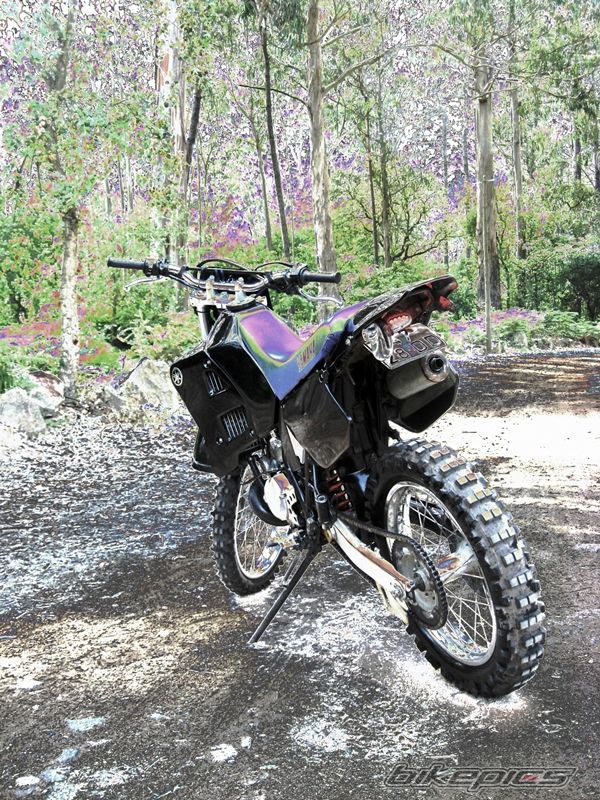 1994 YAMAHA DT125R | Picture 2695454 motorcycle photo