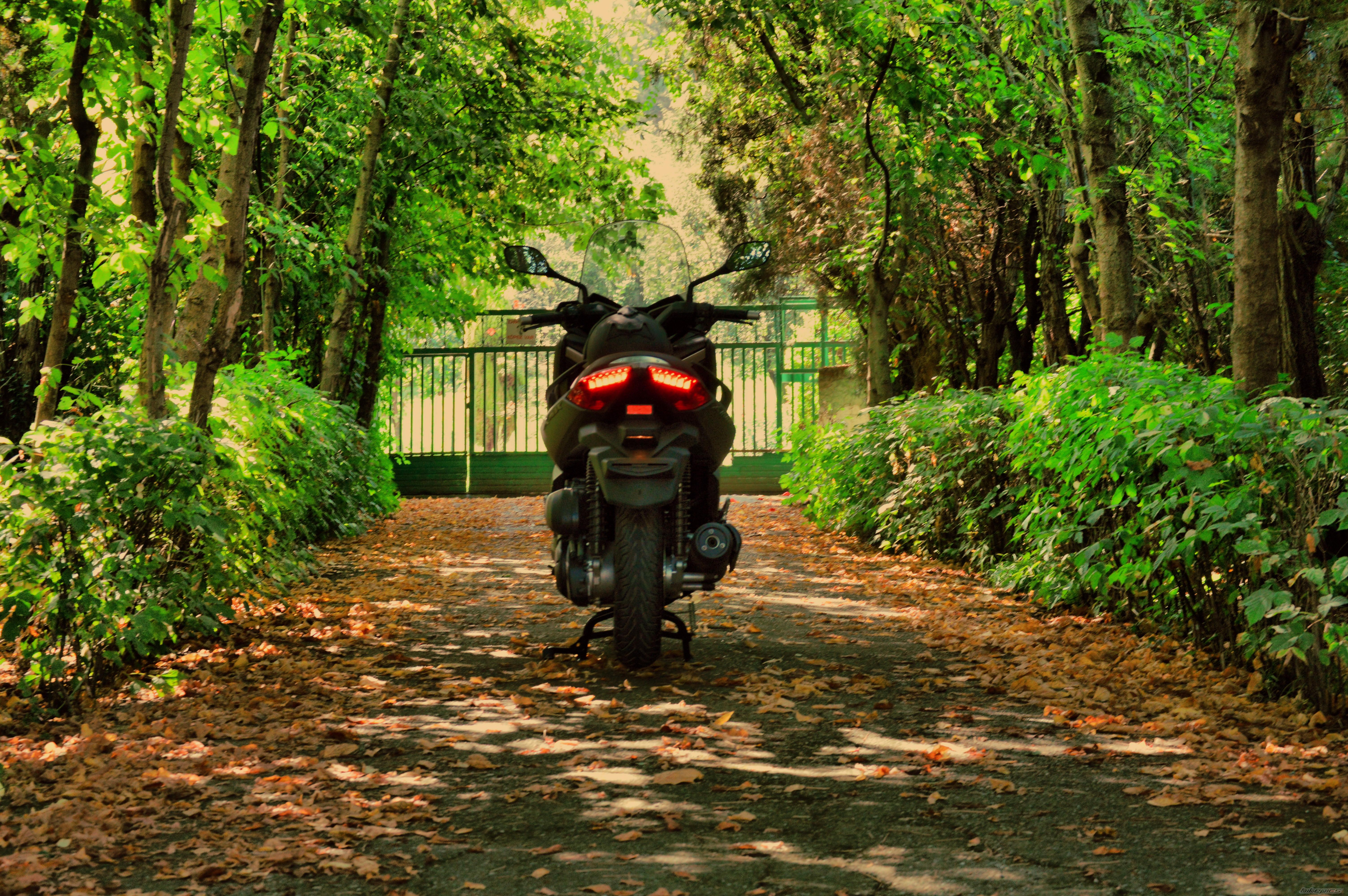 2014 YAMAHA XMAX | Picture 2695470 motorcycle photo
