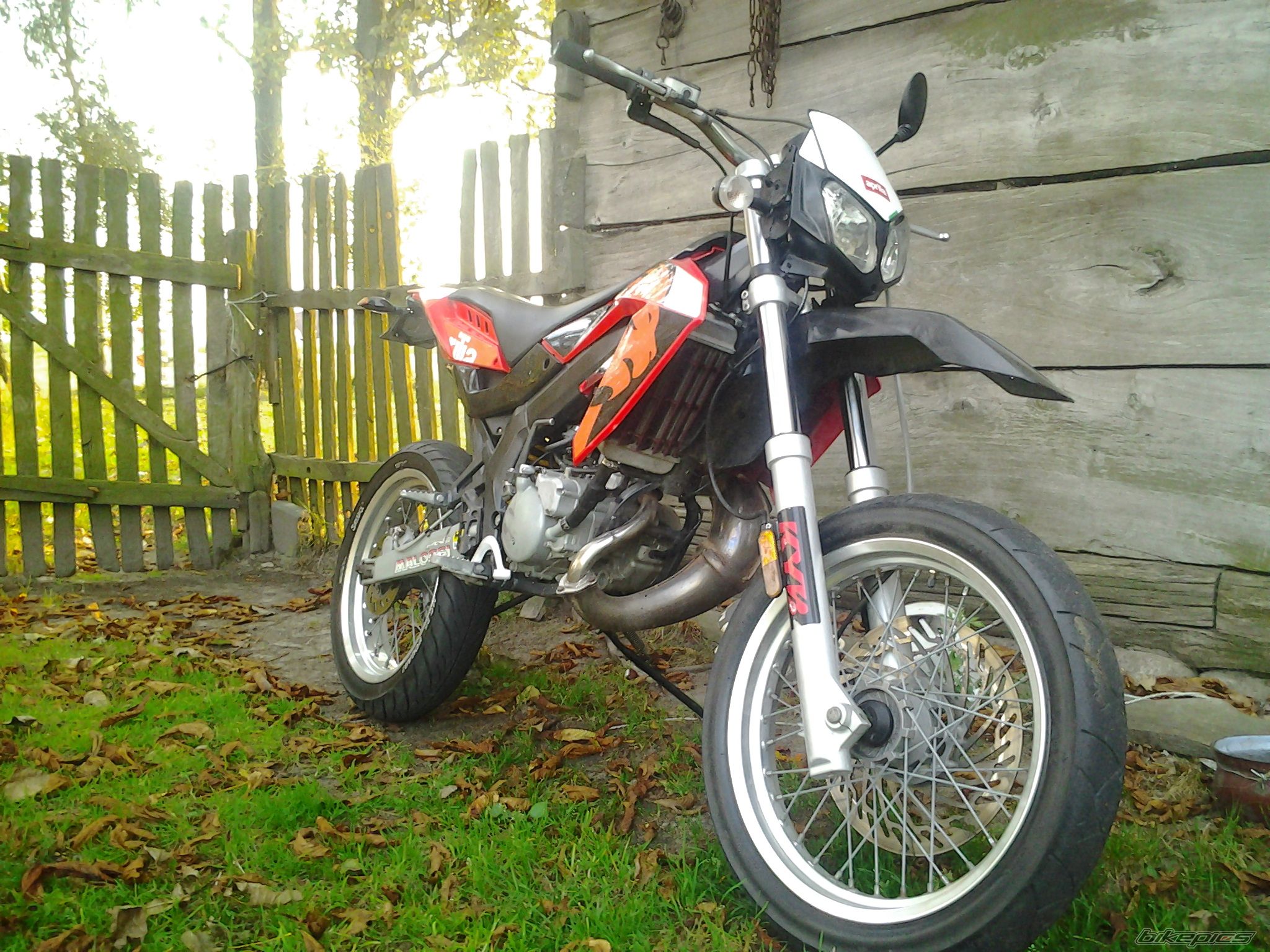 2008 APRILIA SX 50 | Picture 2696195 motorcycle photo