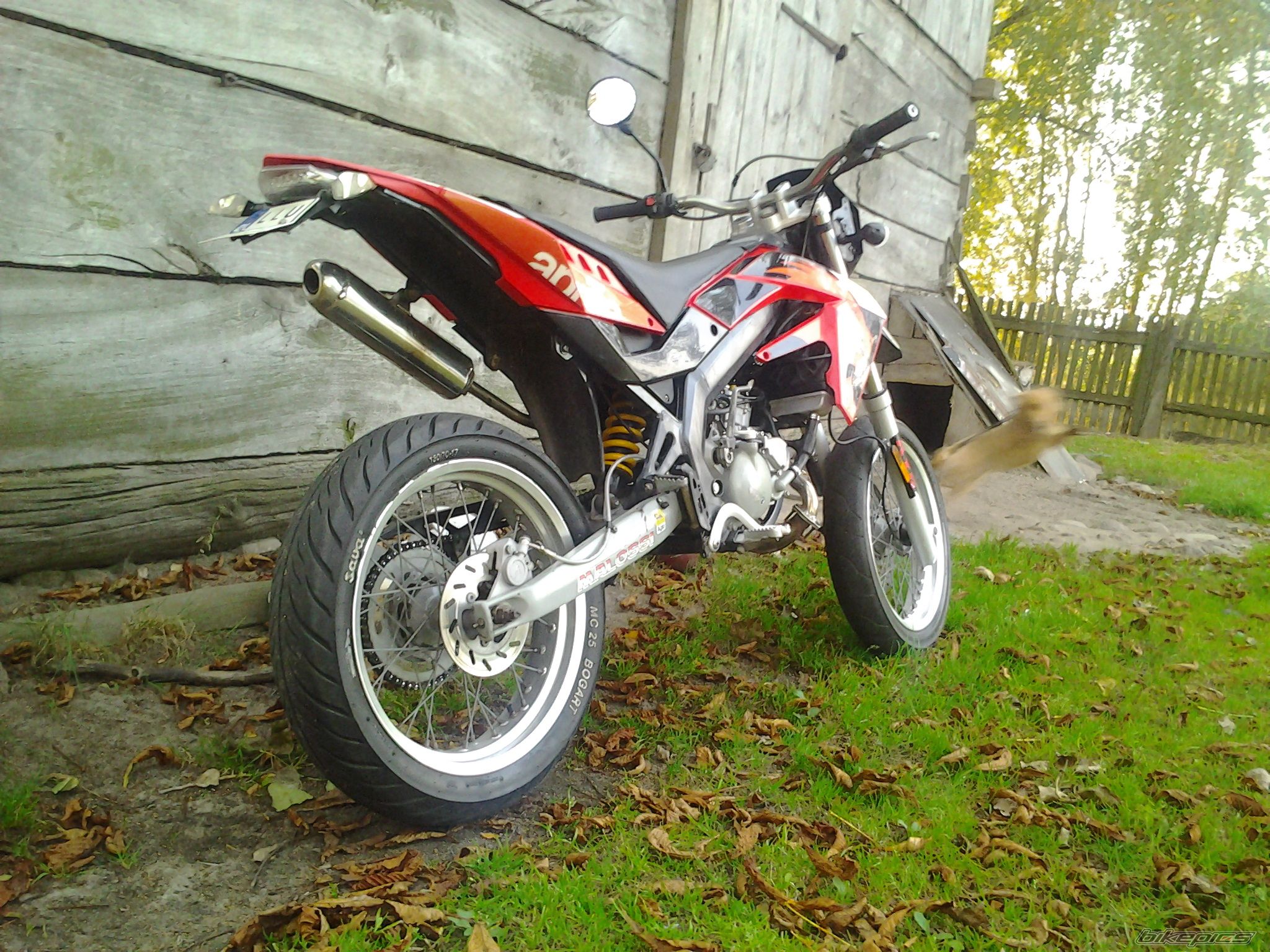 2008 APRILIA SX 50 | Picture 2696199 motorcycle photo