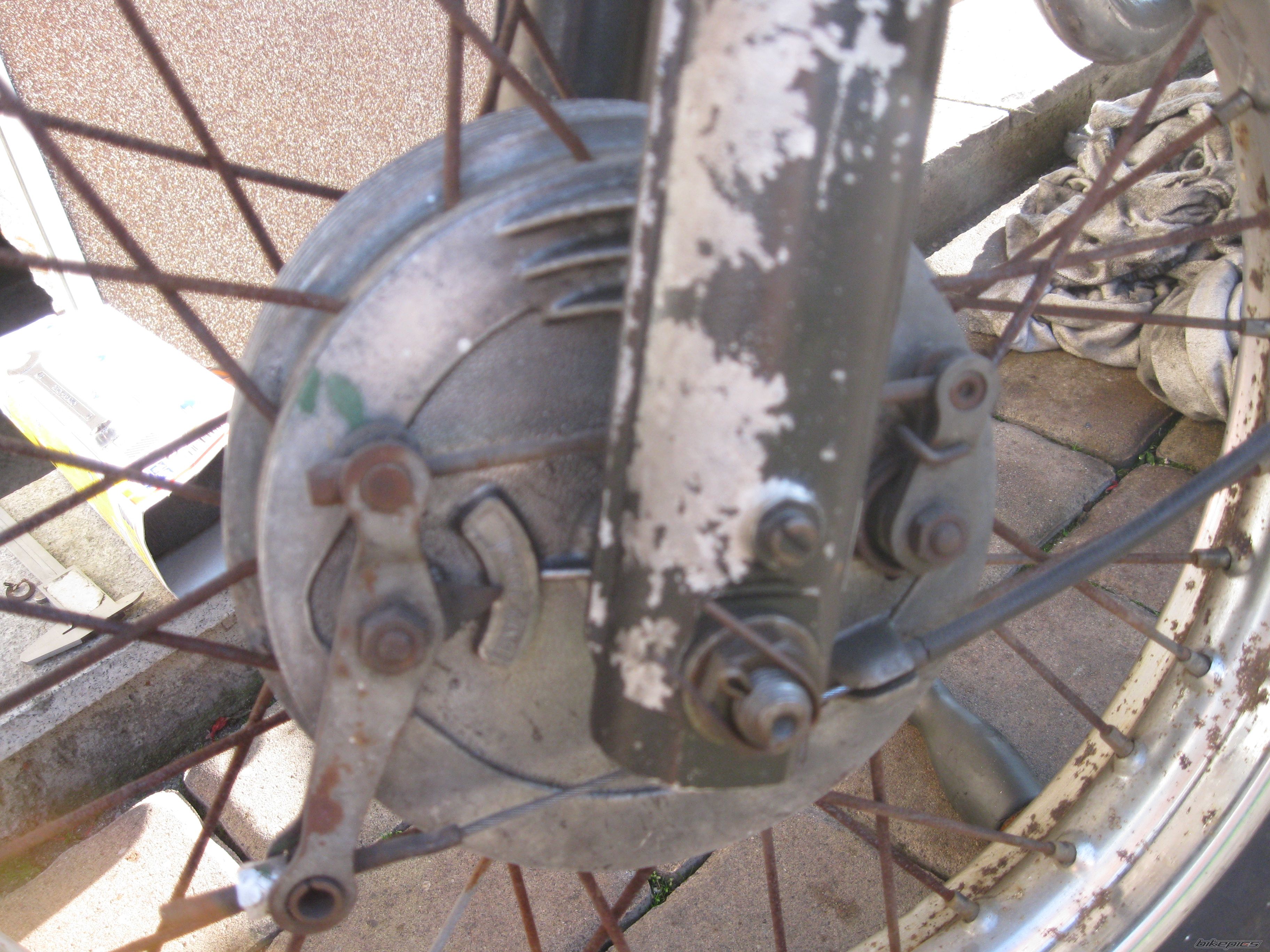 1981 CZ 350 | Picture 2697419 motorcycle photo