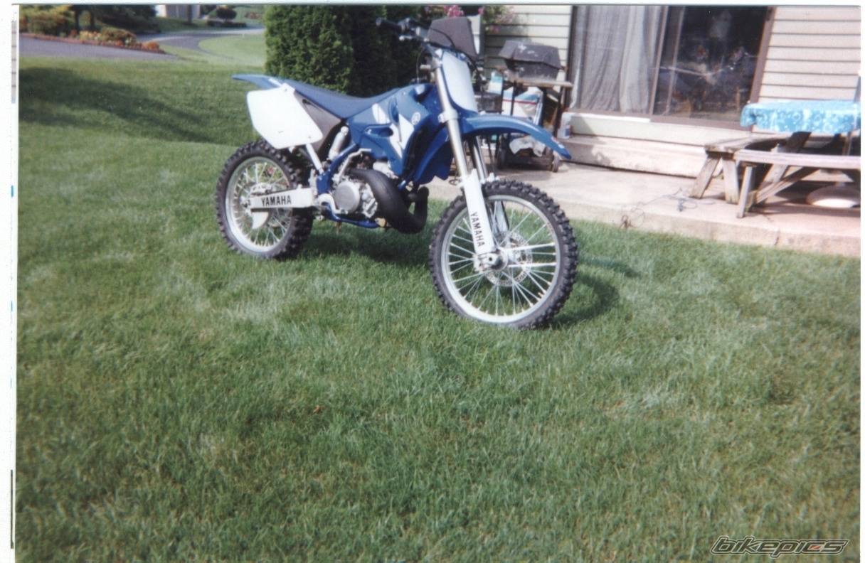 2004 YAMAHA YZ 250 | Picture 269836 motorcycle photo