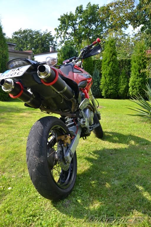 2005 HONDA FMX 650 FUNMOTO | Picture 2698463 motorcycle photo