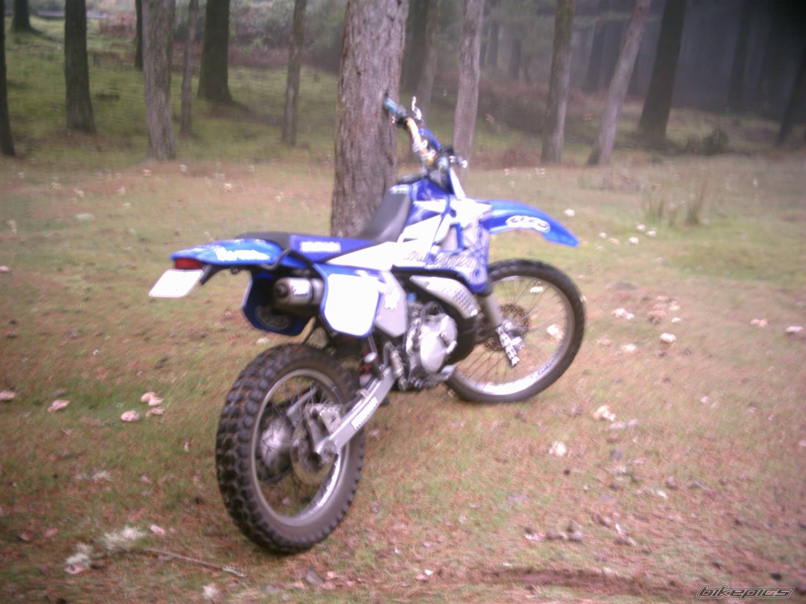 2000 YAMAHA DT 125 | Picture 269849 motorcycle photo