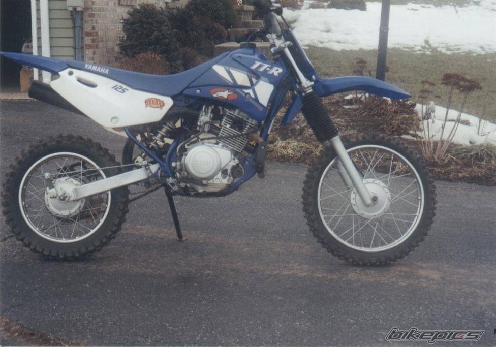 2001 YAMAHA TTR 125 | Picture 269863 motorcycle photo