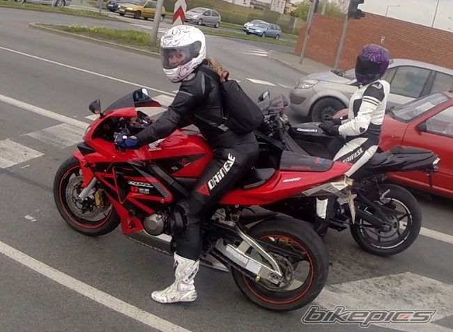 2003 HONDA CBR 600 RR | Picture 2698725 motorcycle photo