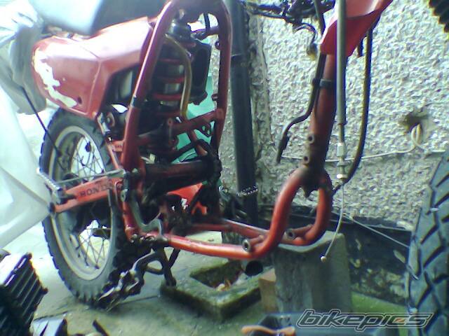1985 HONDA XL 600 | Picture 269882 motorcycle photo