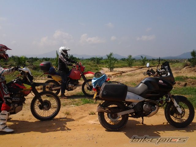 2001 SUZUKI XF 650 FREEWIND | Picture 2699063 motorcycle photo