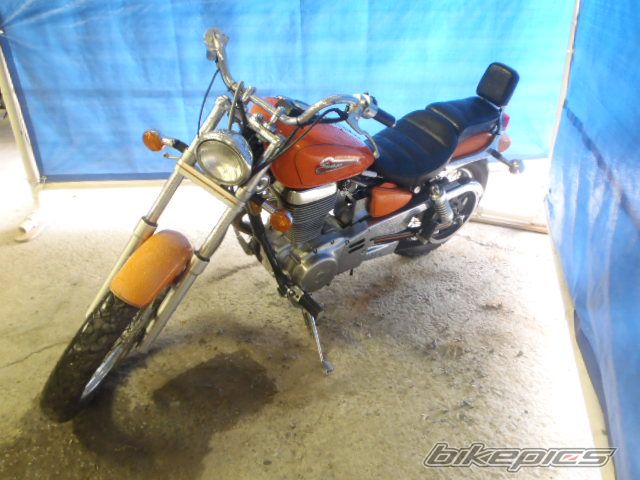 1998 SUZUKI SAVAGE | Picture 2700033 motorcycle photo