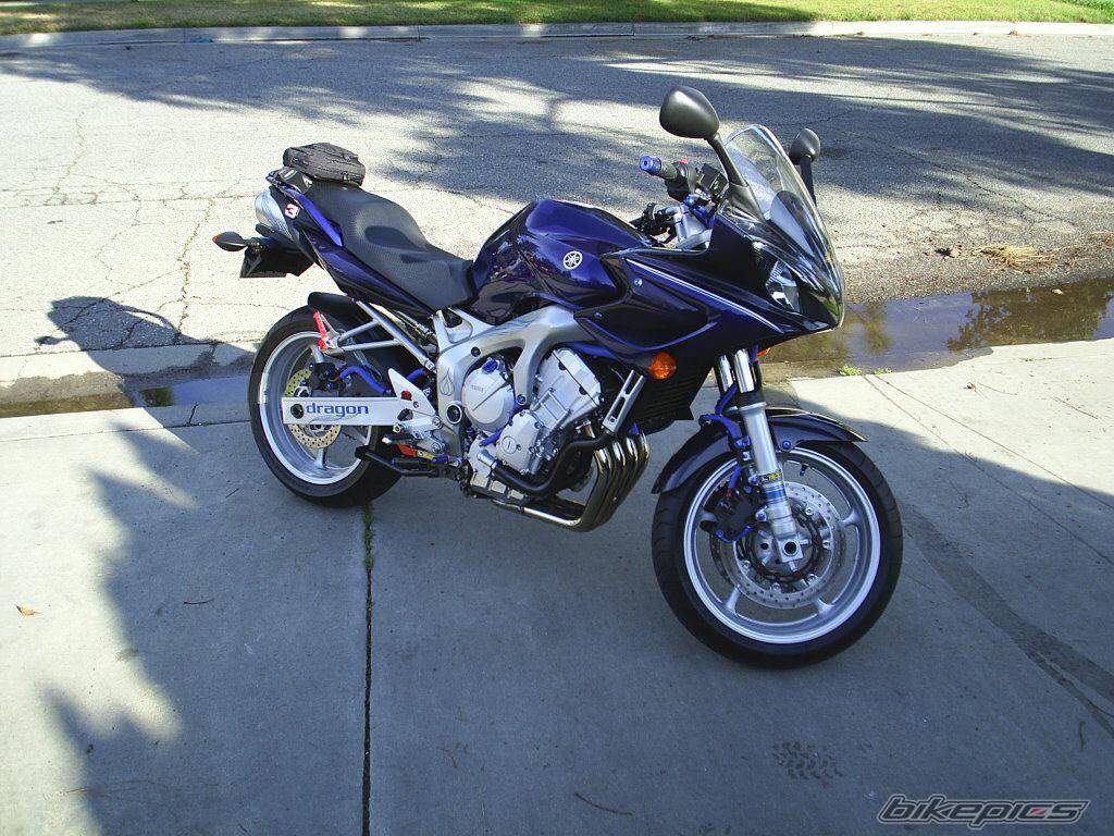 2004 YAMAHA FZ6 FAZER | Picture 270045 motorcycle photo