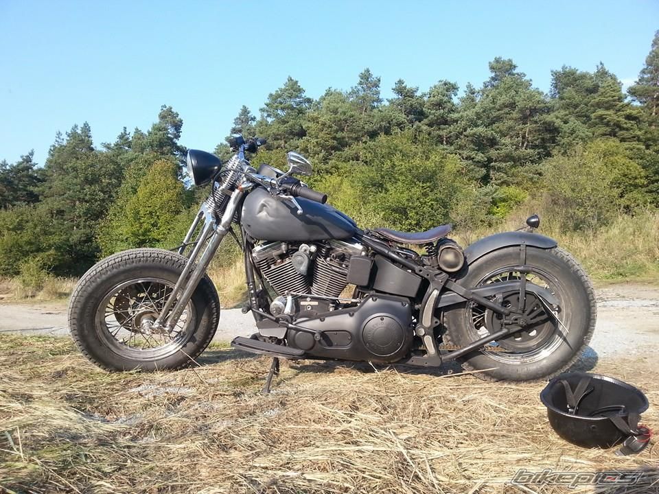1993 HARLEY DAVIDSON HERITAGE SOFTAIL CLASSIC | Picture 2701091 motorcycle photo