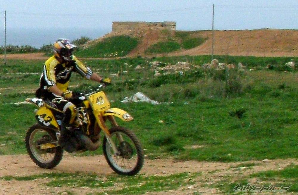 1996 SUZUKI RM 250 | Picture 270258 motorcycle photo