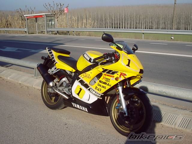 2005 SUZUKI GSX R 600 | Picture 270300 motorcycle photo