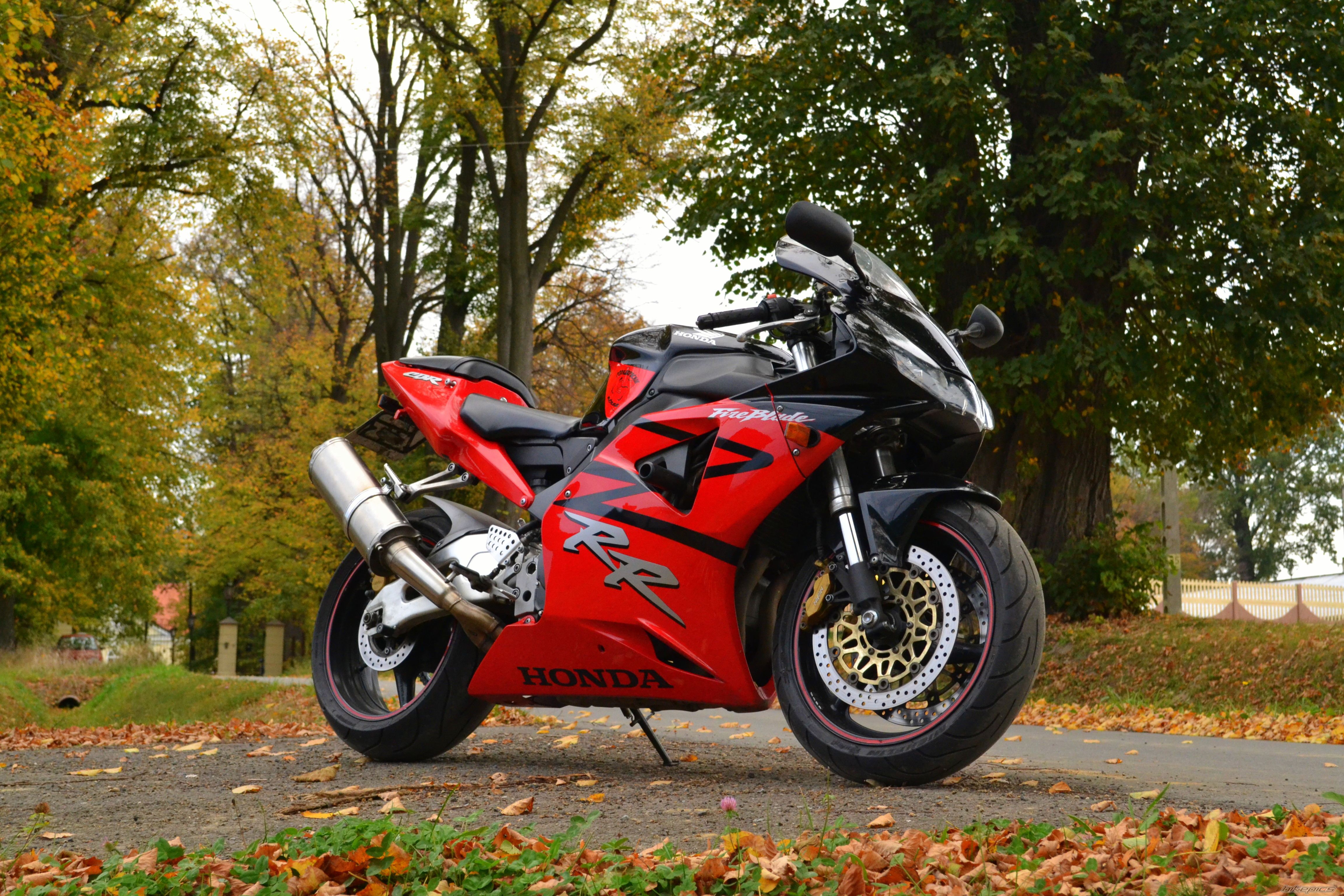 2003 HONDA CBR 954RR | Picture 2703782 motorcycle photo
