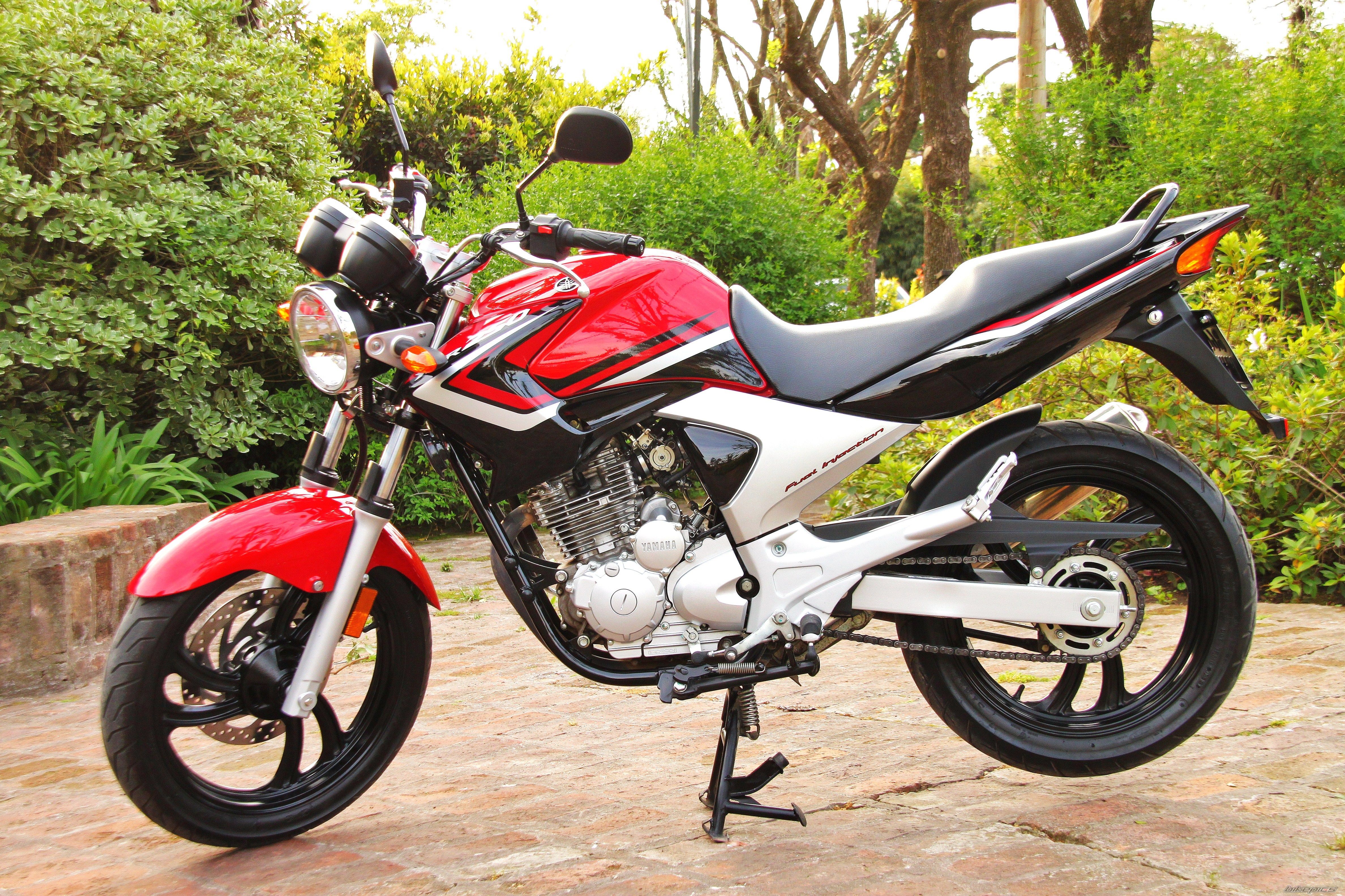 2014 YAMAHA YBR 250 | Picture 2704046 motorcycle photo