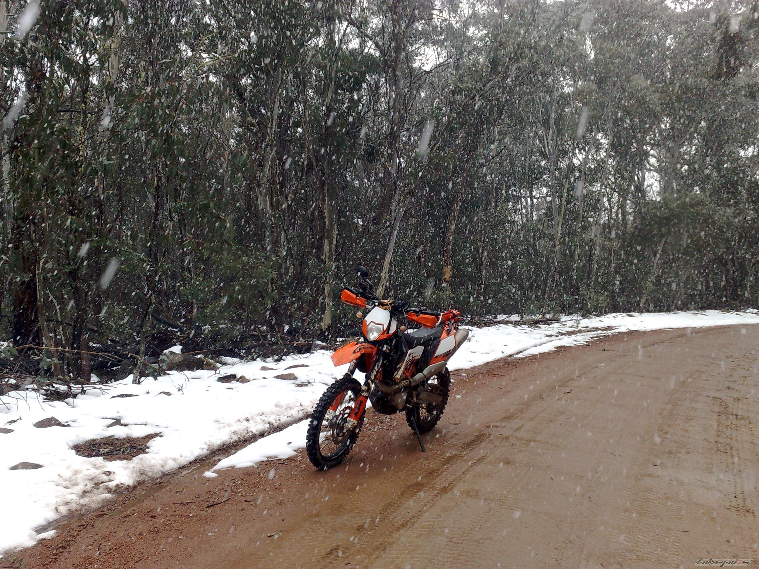 2009 KTM 690 ENDURO | Picture 2704714 motorcycle photo
