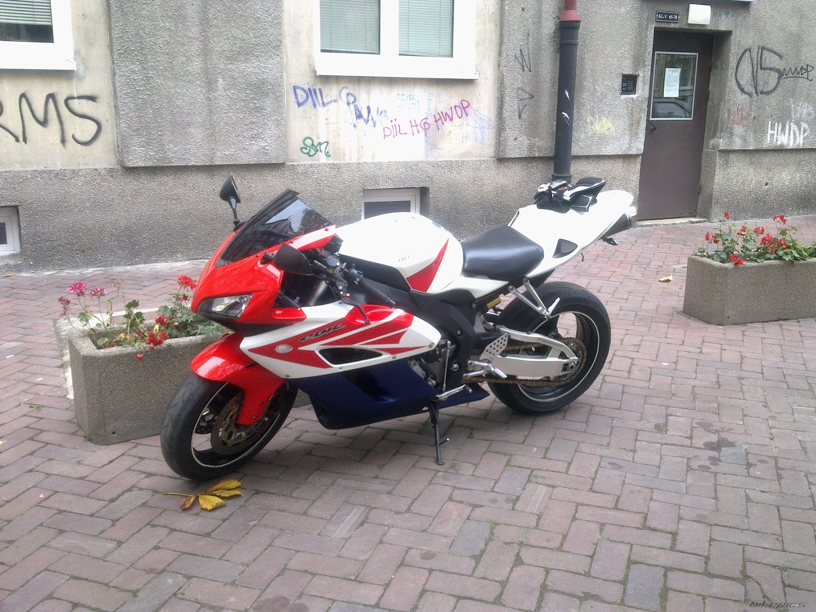 2004 HONDA CBR 1000  RR | Picture 2705045 motorcycle photo