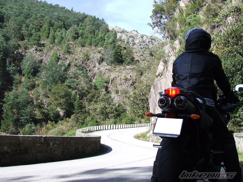 2014 YAMAHA FZ6 FAZER | Picture 2705622 motorcycle photo