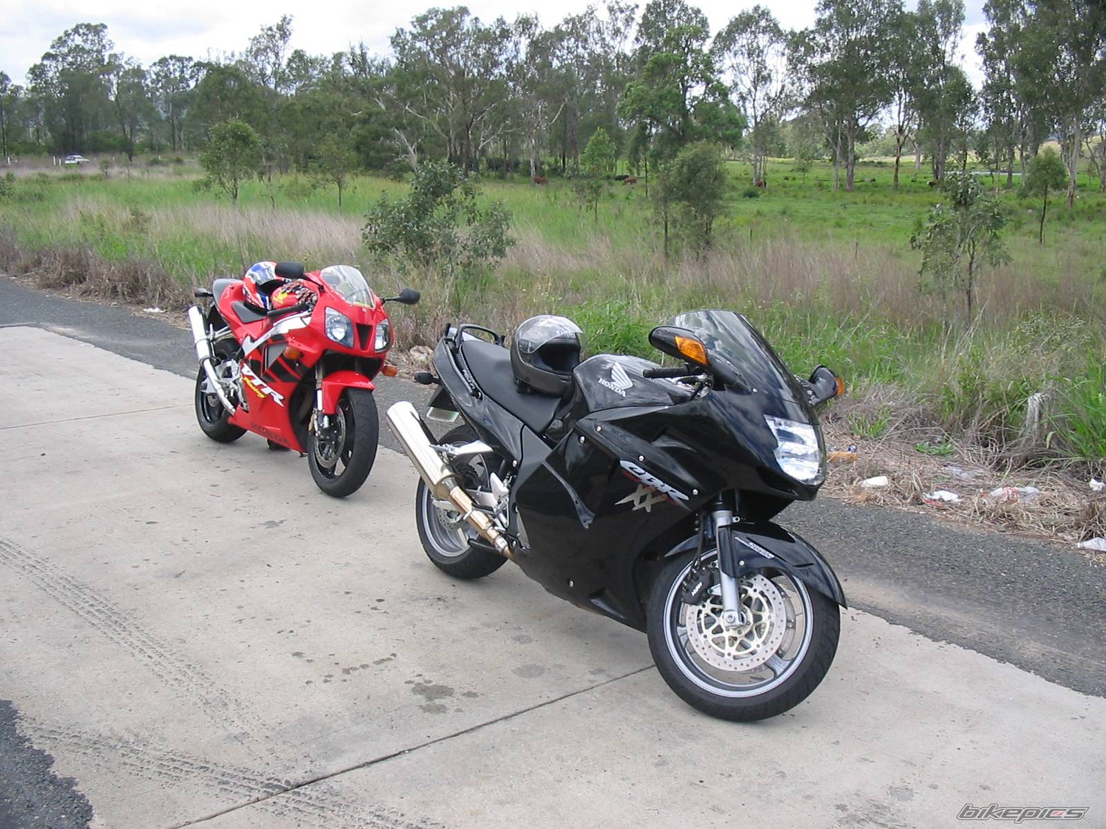 2004 HONDA CBR 1100 BLACKBIRD | Picture 270576 motorcycle photo