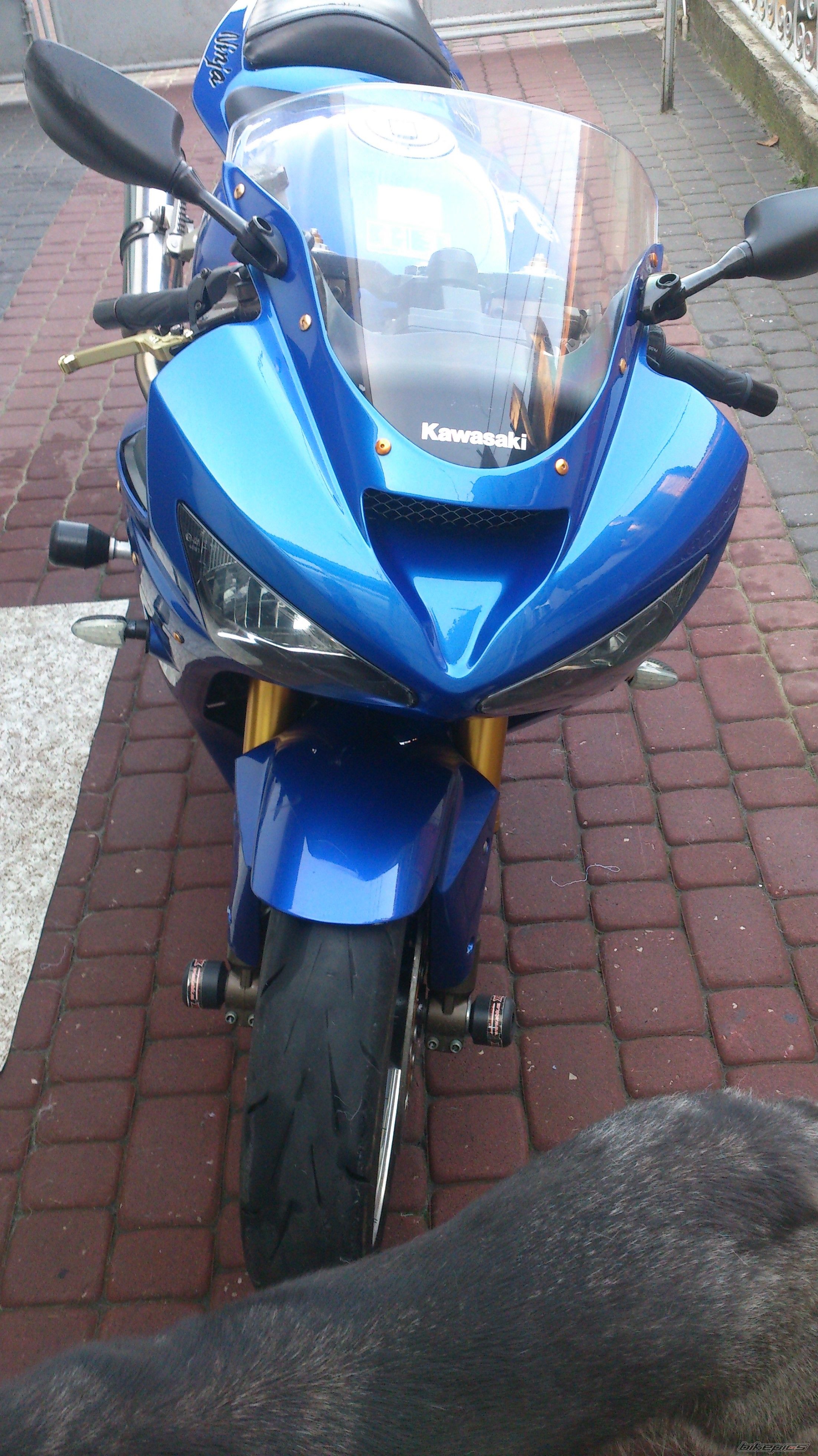 2004 KAWASAKI ZX636 | Picture 2705966 motorcycle photo