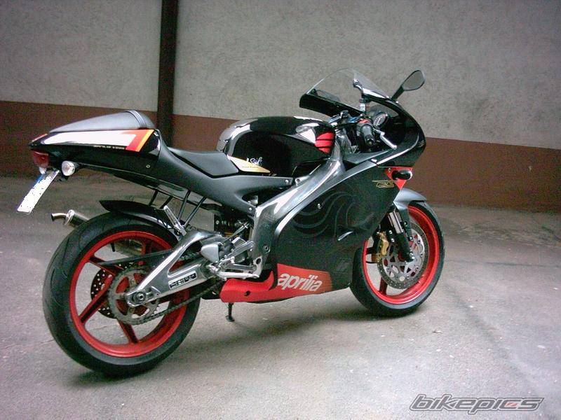 2004 APRILIA RS 125 | Picture 270677 motorcycle photo