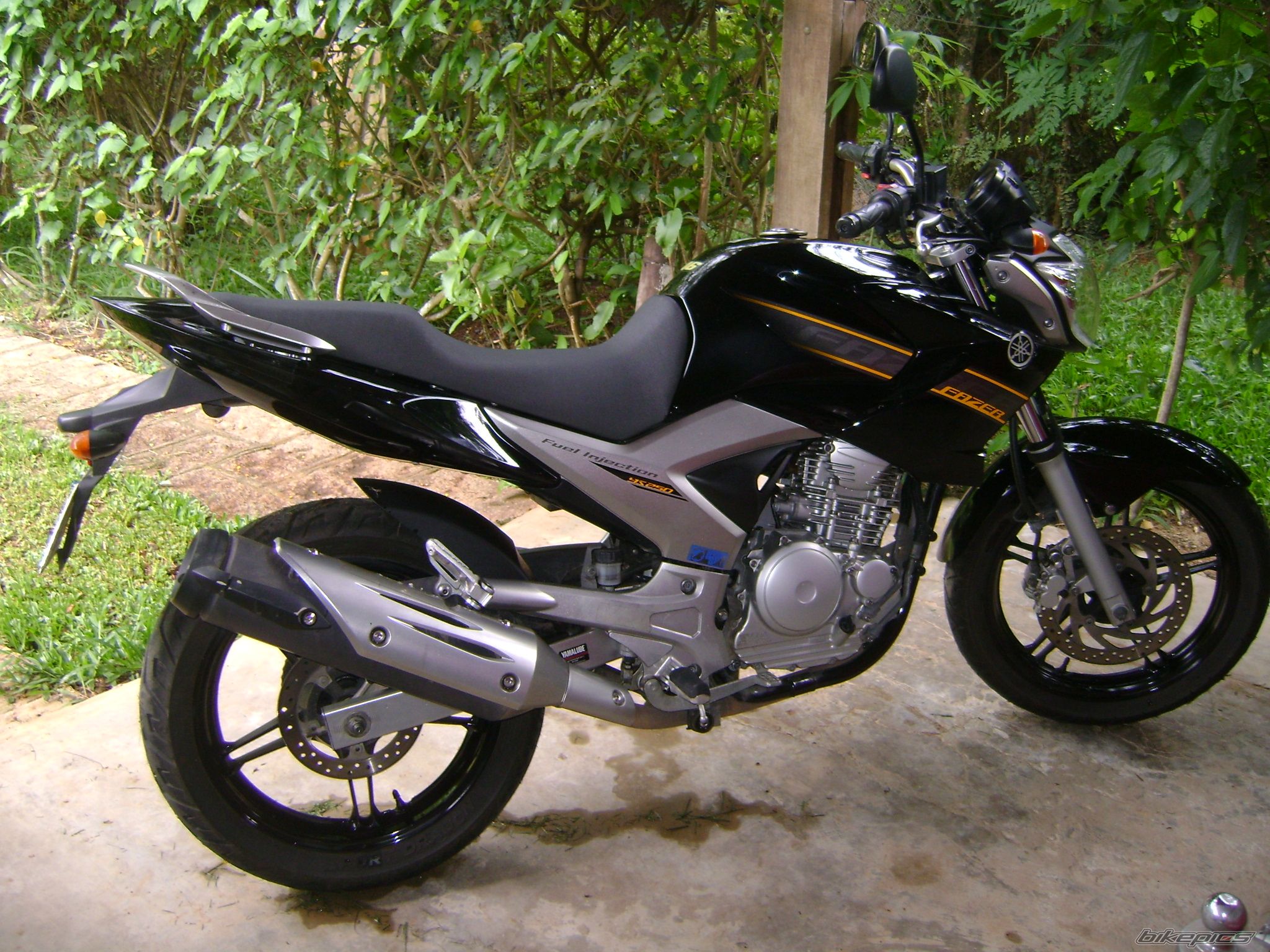 2010 YAMAHA FAZER 250 | Picture 2707121 motorcycle photo