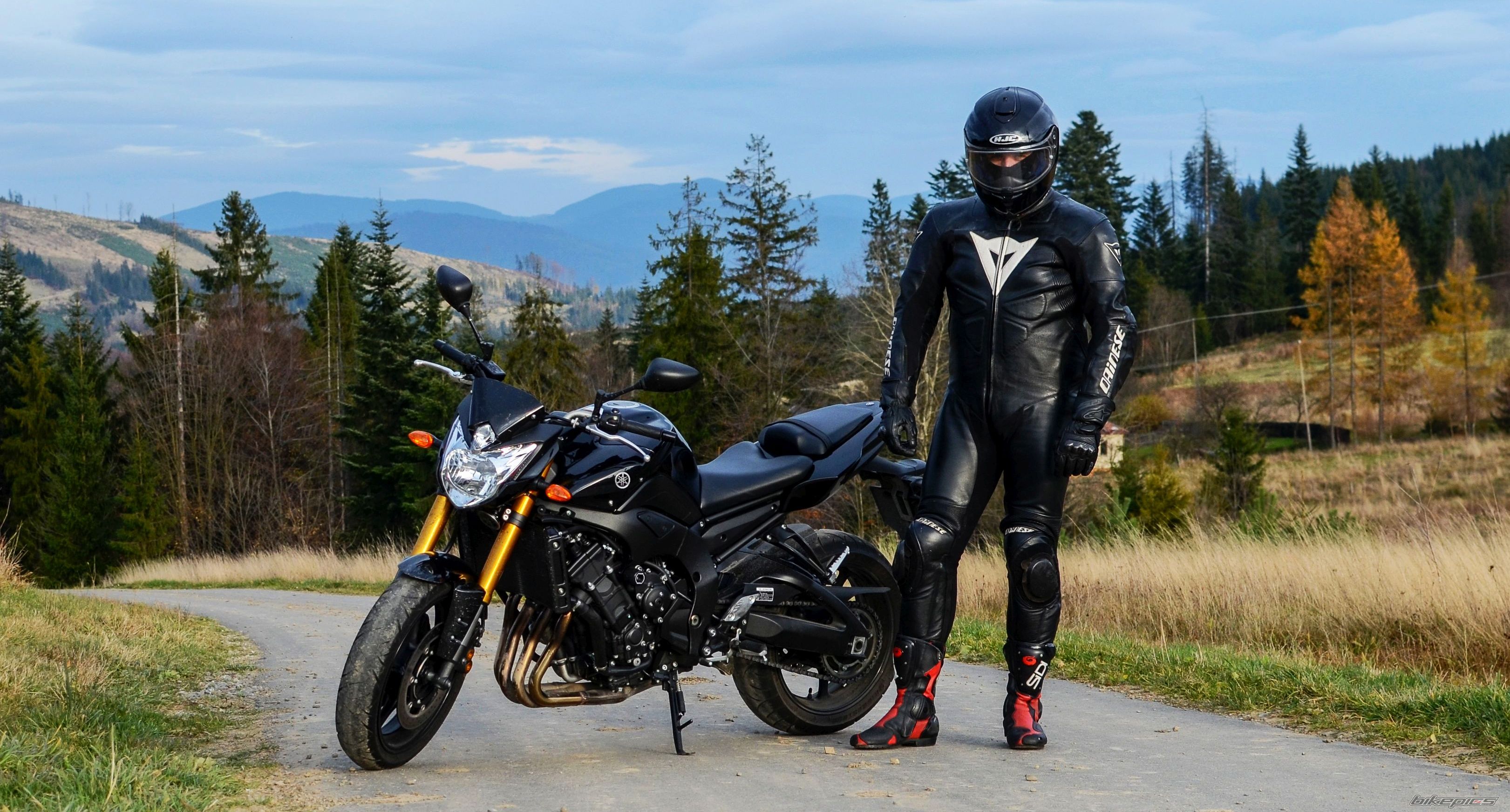 2009 YAMAHA FZ 8 | Picture 2707416 motorcycle photo