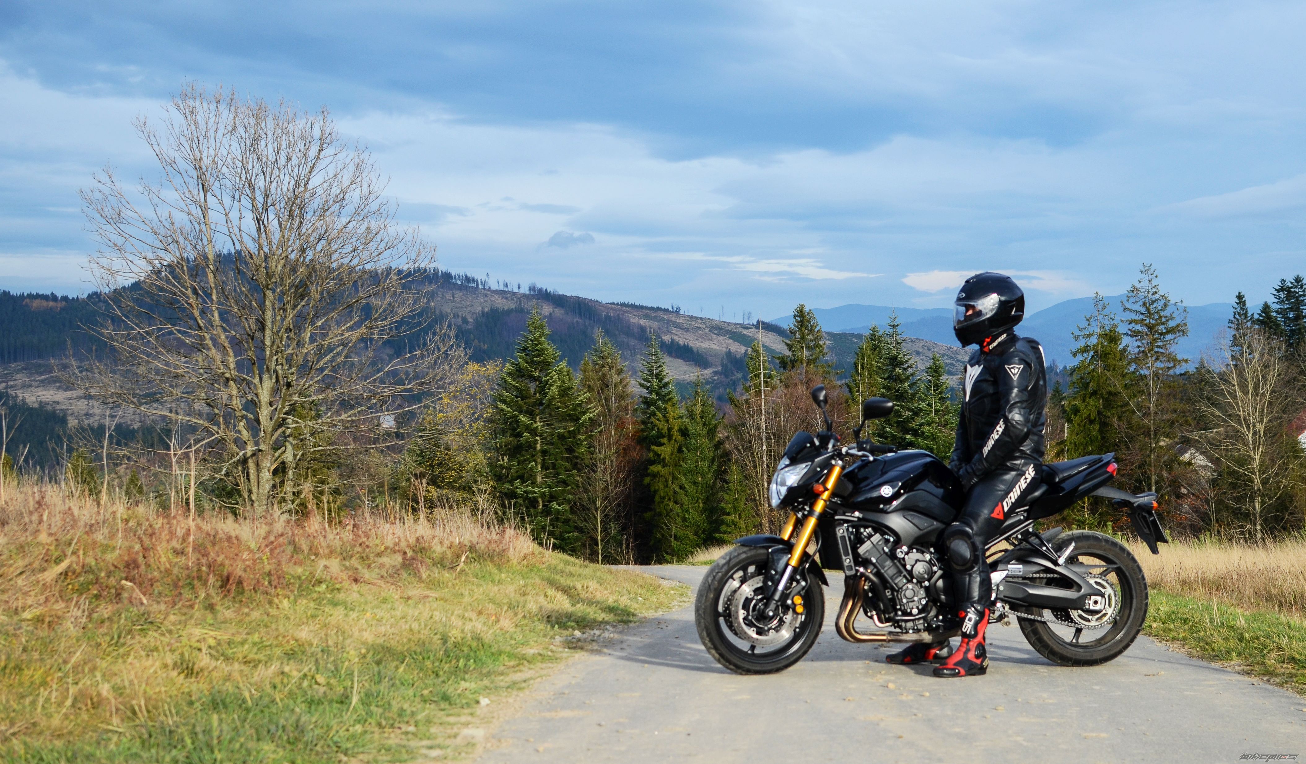 2009 YAMAHA FZ 8 | Picture 2707417 motorcycle photo
