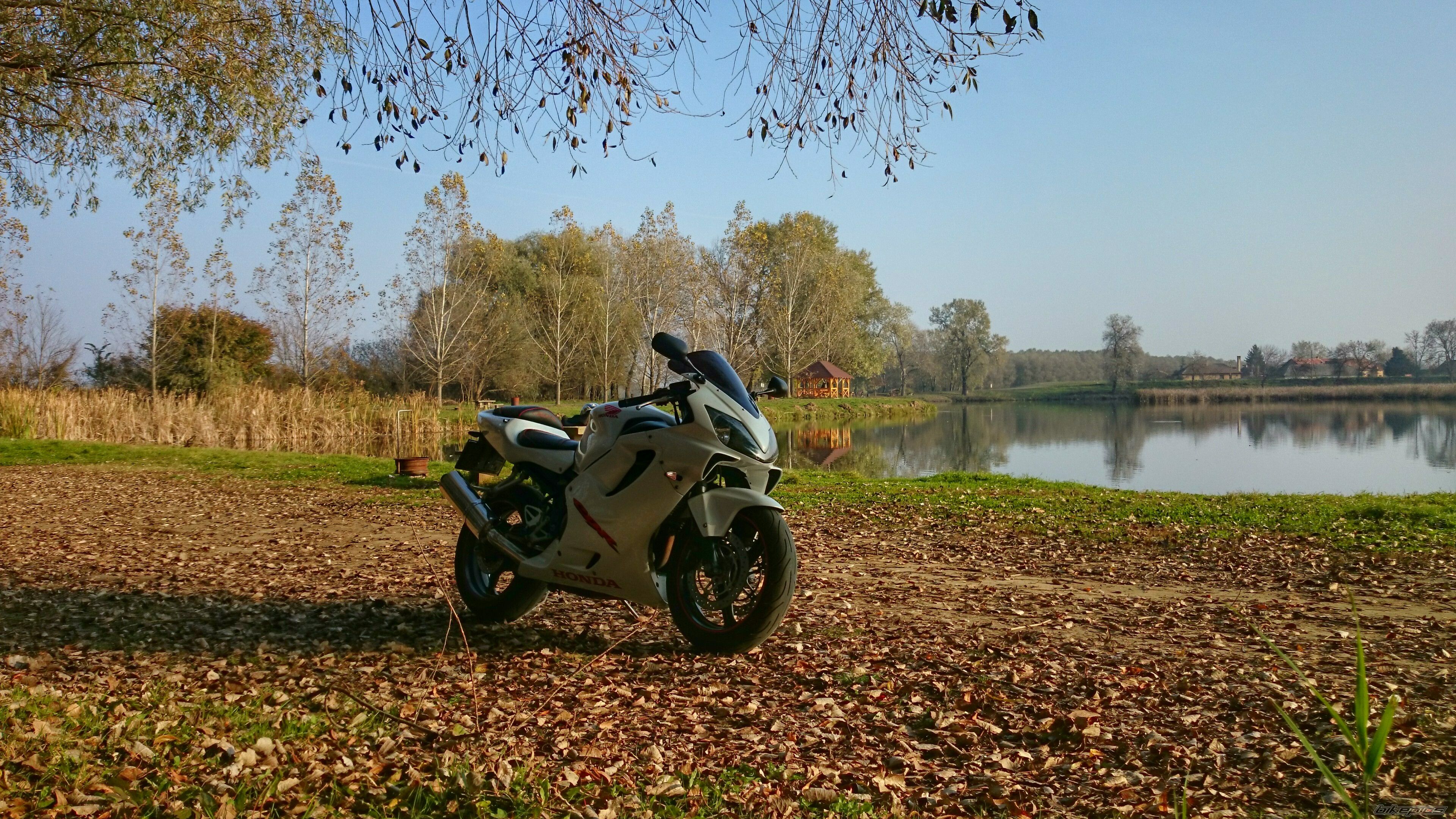 2001 HONDA CBR 600 FS | Picture 2707526 motorcycle photo