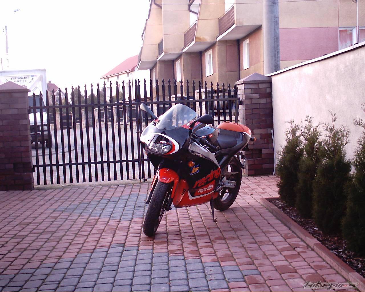 2002 APRILIA RS 50 | Picture 270753 motorcycle photo