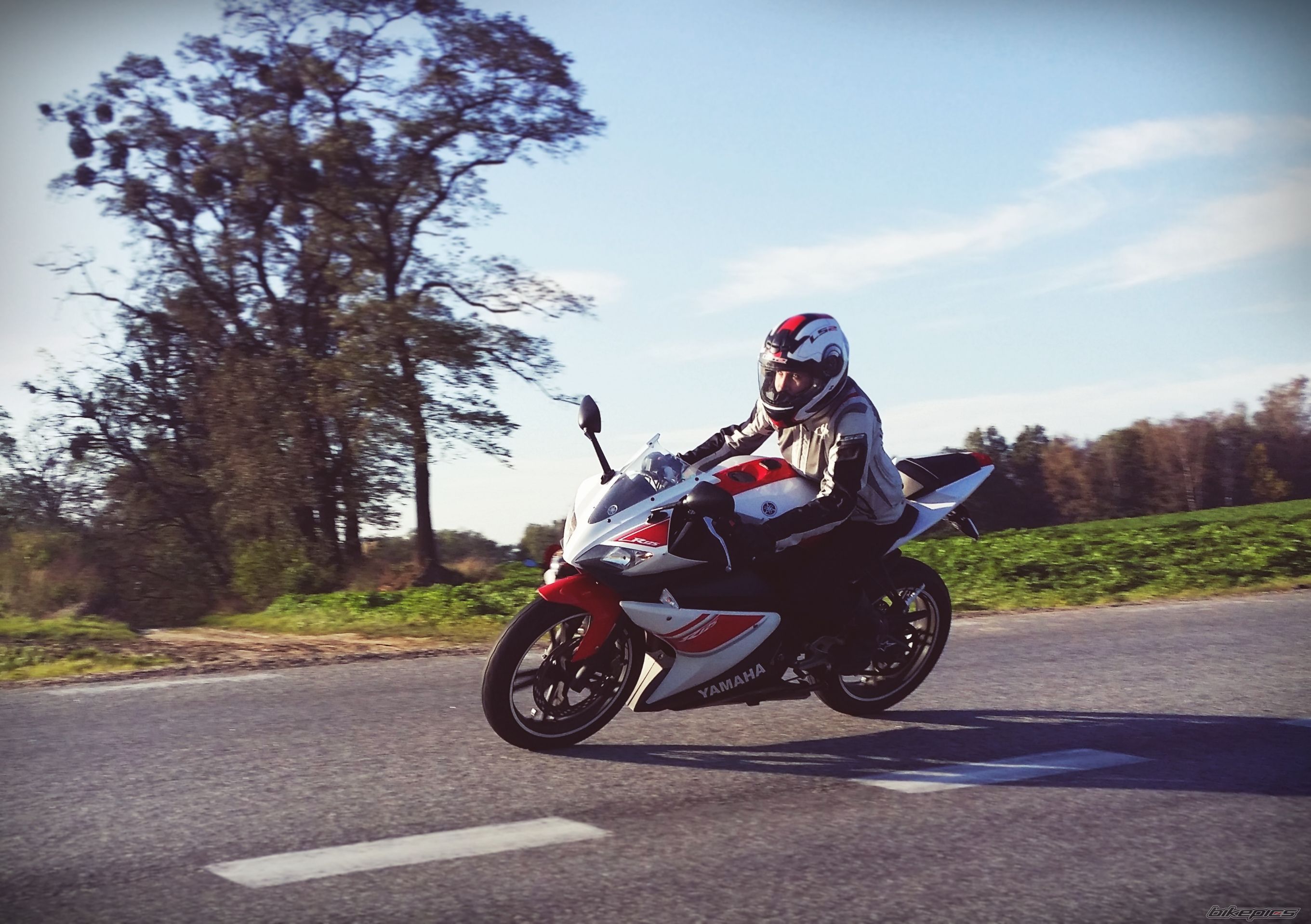 2008 YAMAHA YZF R125 | Picture 2707607 motorcycle photo