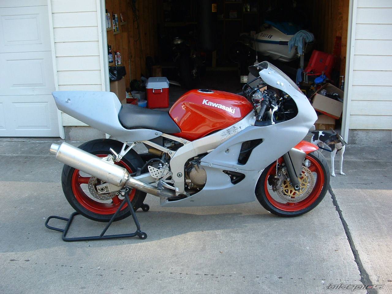 2001 KAWASAKI ZX 6R | Picture 270782 motorcycle photo