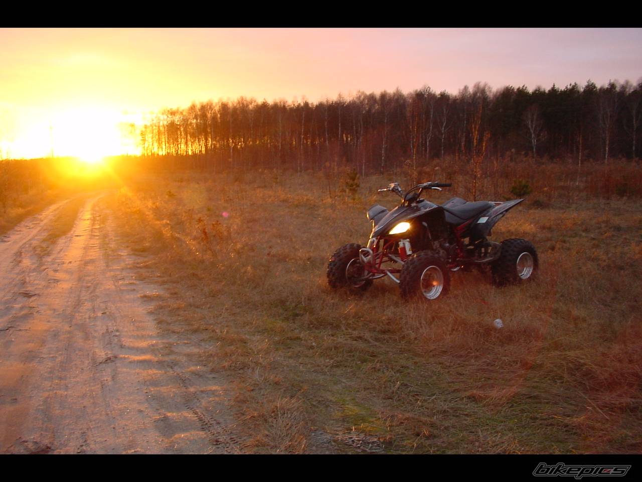 2005 YAMAHA RAPTOR YFZ 450 | Picture 270803 motorcycle photo