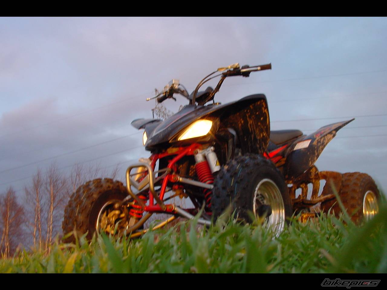 2005 YAMAHA RAPTOR YFZ 450 | Picture 270808 motorcycle photo