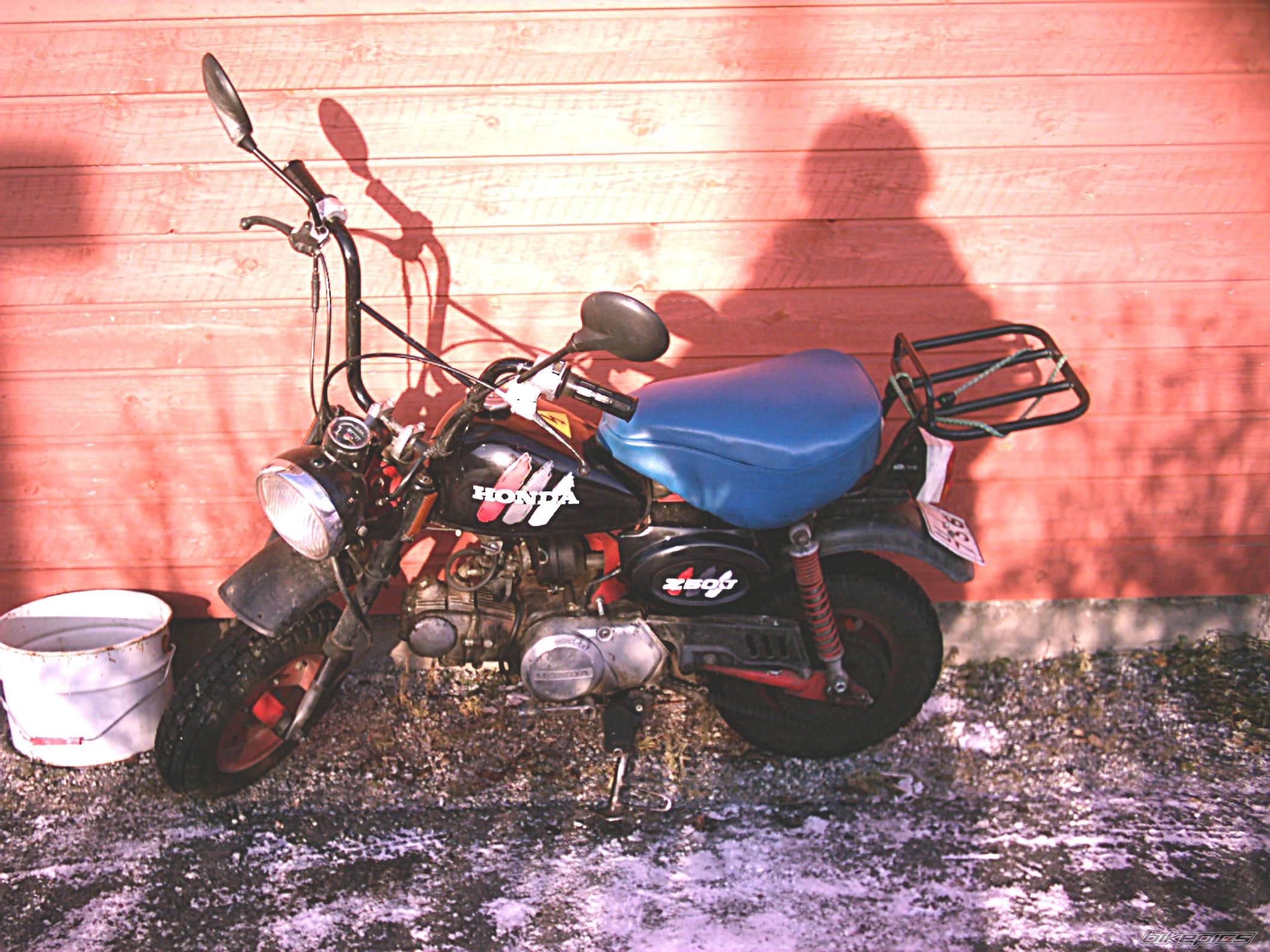 1995 HONDA Z 50 | Picture 270815 motorcycle photo
