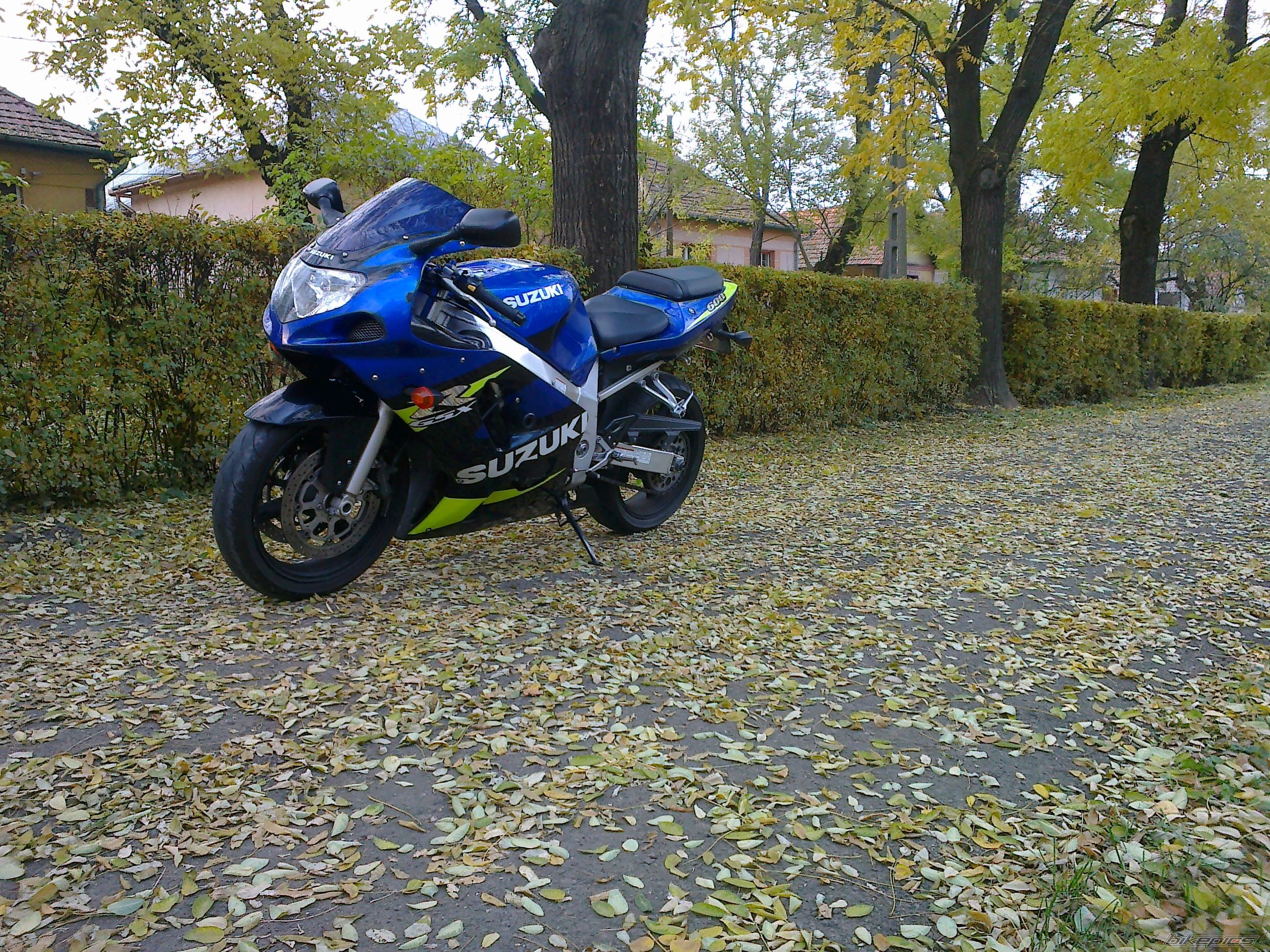 2002 SUZUKI GSX R 600 | Picture 2708730 motorcycle photo