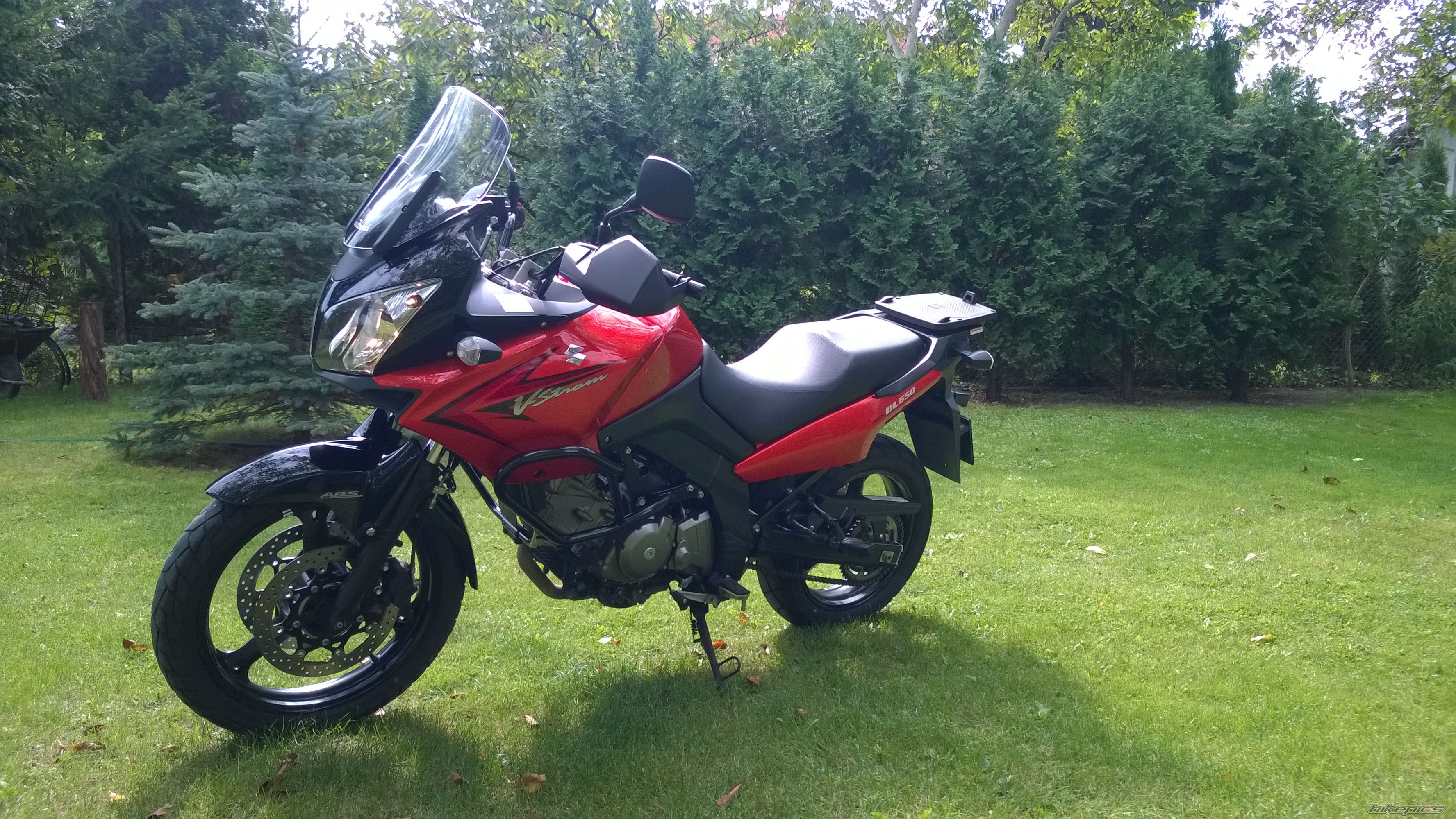 2010 SUZUKI DL 650 | Picture 2708743 motorcycle photo