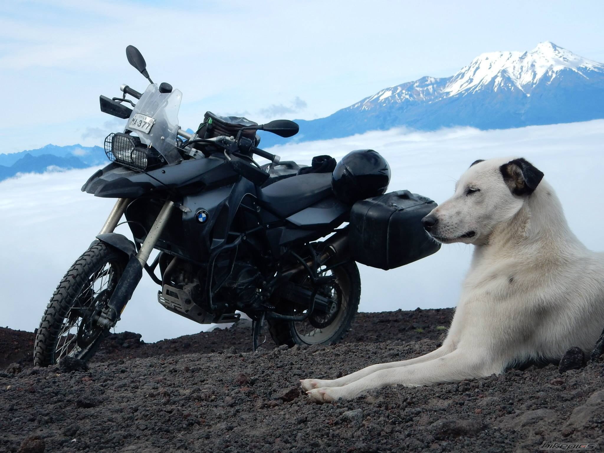 2013 BMW F800 GS | Picture 2709228 motorcycle photo