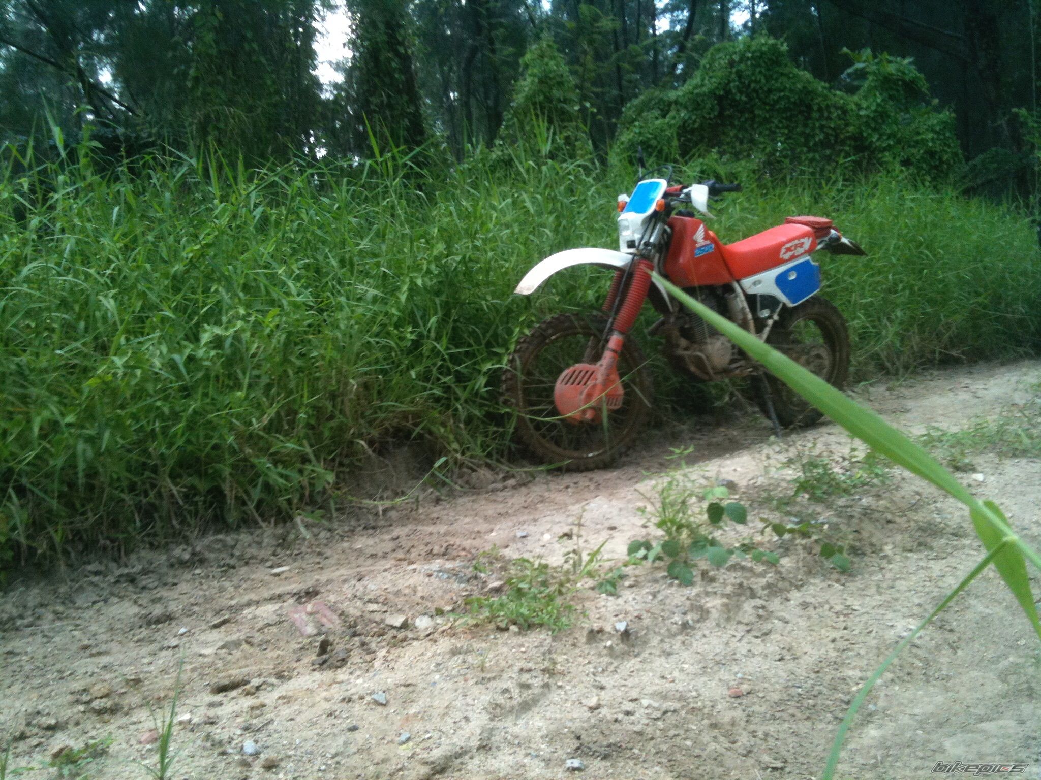 1990 HONDA XR 250 | Picture 2709297 motorcycle photo