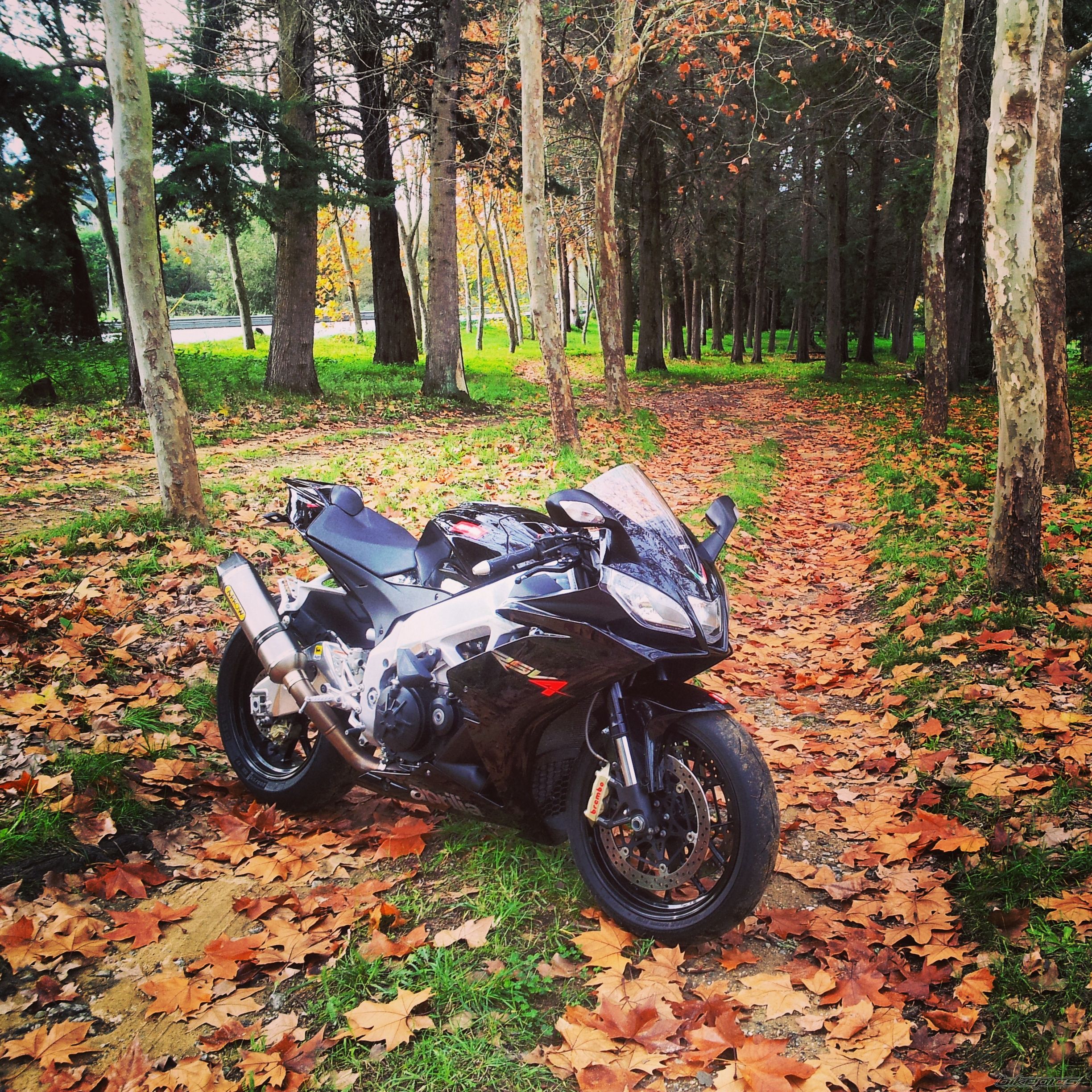 1991 SUZUKI GSX R 1100 | Picture 2711209 motorcycle photo