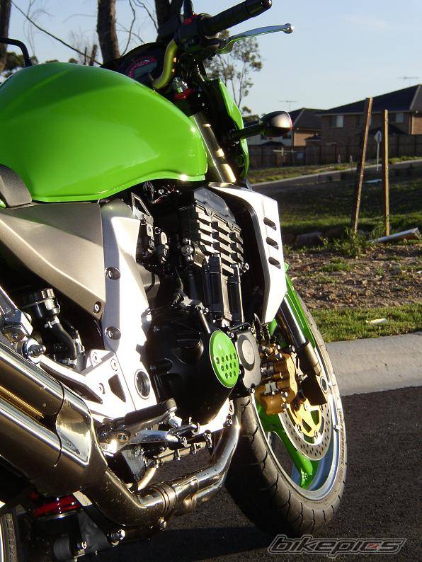 2004 KAWASAKI Z 1000 | Picture 271162 motorcycle photo