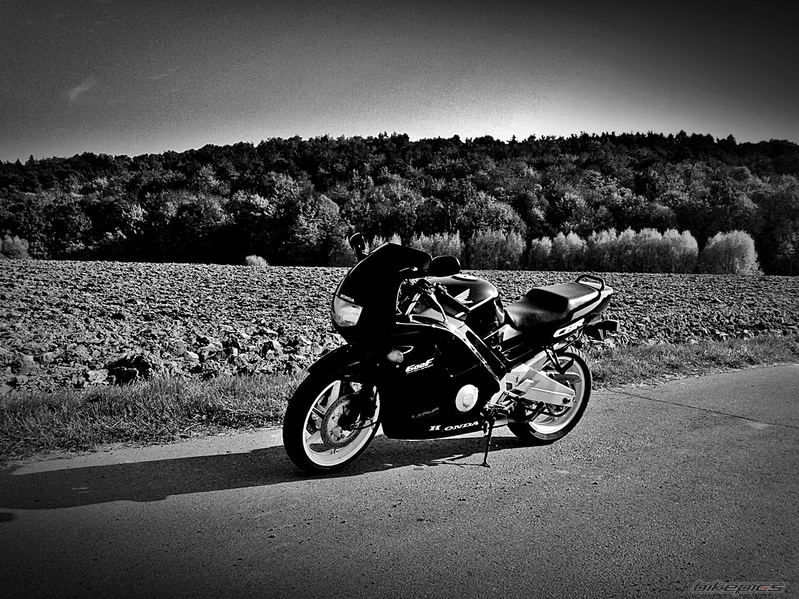 1991 HONDA CBR 600 | Picture 2711709 motorcycle photo