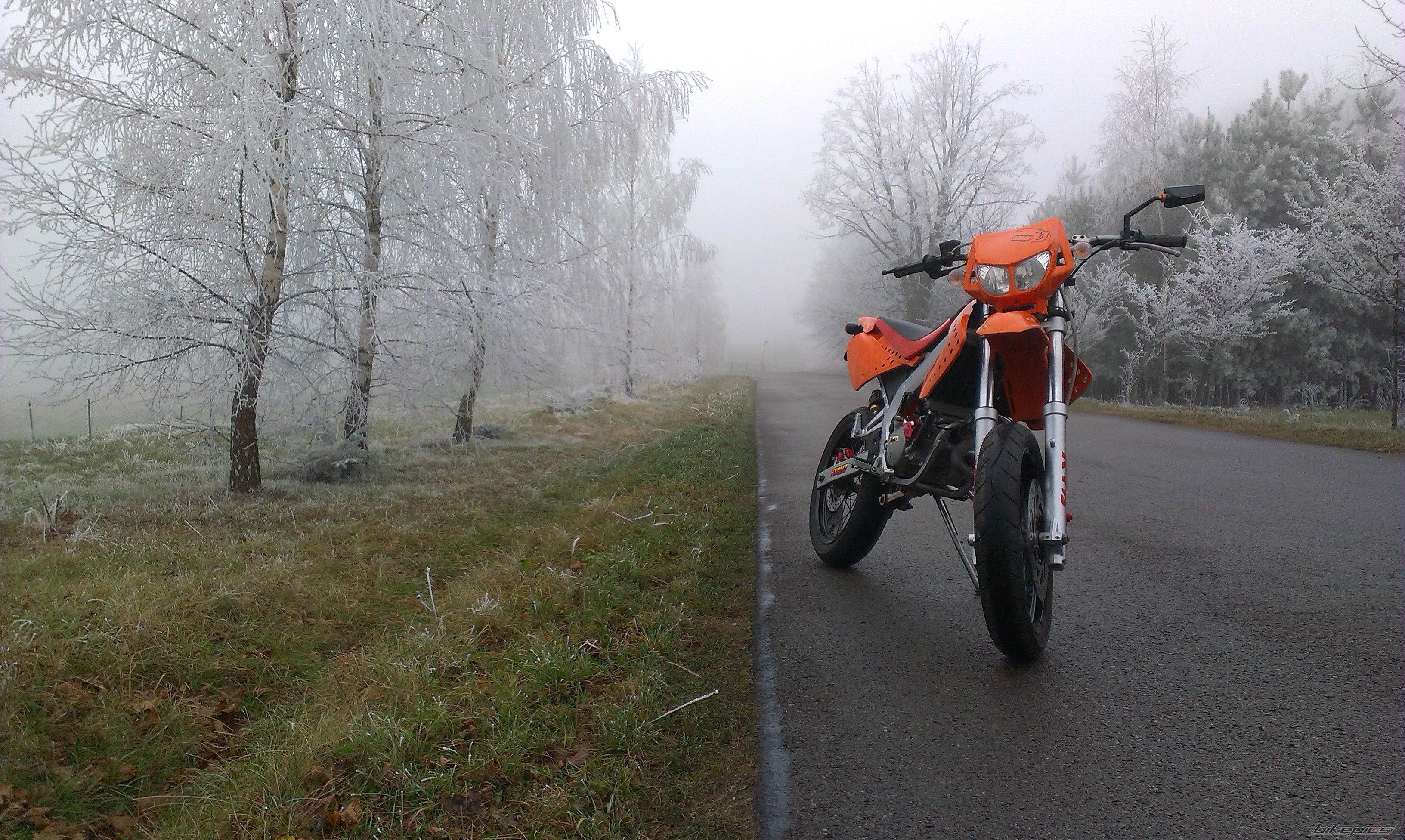 2009 DERBI SENDA DRD SM 50 | Picture 2712138 motorcycle photo