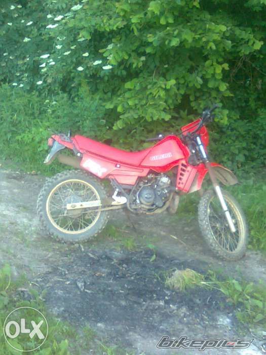 1984 GILERA RX 125 ARIZONA | Picture 2712326 motorcycle photo