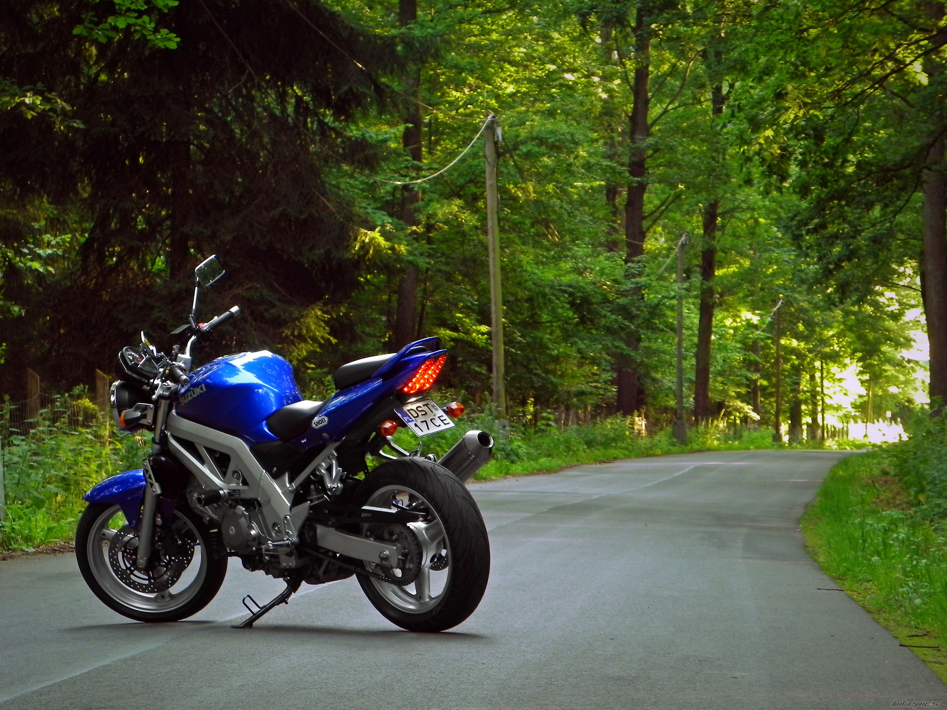 2003 SUZUKI SV 650 | Picture 2712821 motorcycle photo