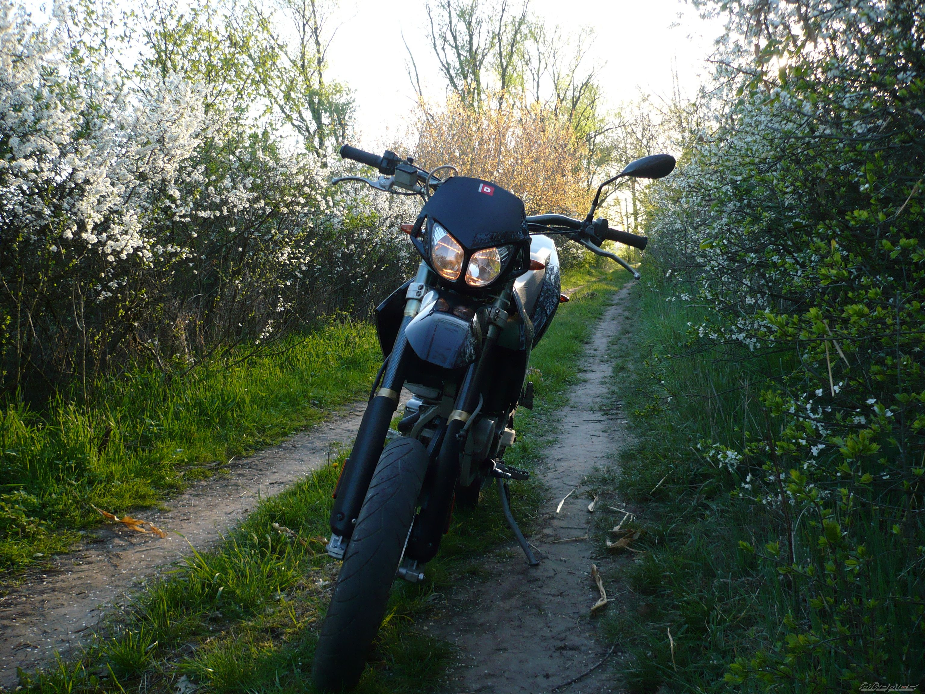2006 DERBI SENDA DRD PRO SM 50 | Picture 2713704 motorcycle photo