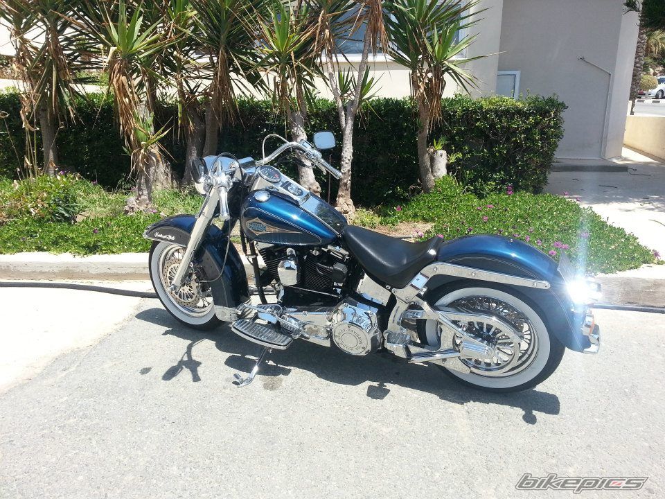 1998 HARLEY DAVIDSON FLSTC | Picture 2713913 motorcycle photo