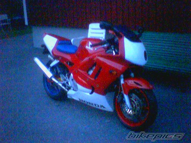 1995 HONDA CBR 600 | Picture 271415 motorcycle photo
