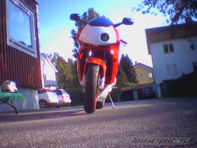 1995 HONDA CBR 600 | Picture 271417 motorcycle photo