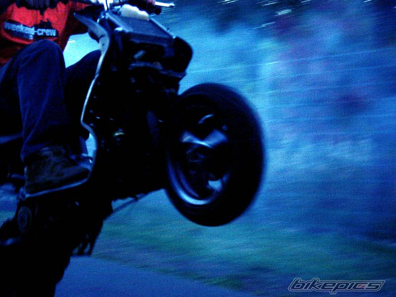 2001 GILERA RUNNER 180 FXR | Picture 271421 motorcycle photo